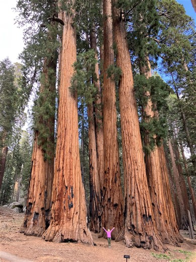 Hiking Trails for Beginners in Sequoia National Park