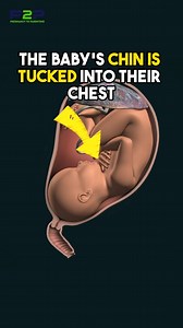 757K views · 7.2K reactions | Ideal and safest fetal position. | Pregnancy to parenting | Facebook