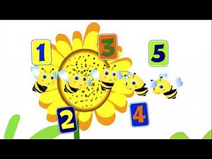 Numbers Around The Globe Ep 16