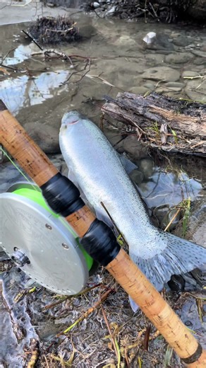Mastering Float Fishing Techniques for Steelhead