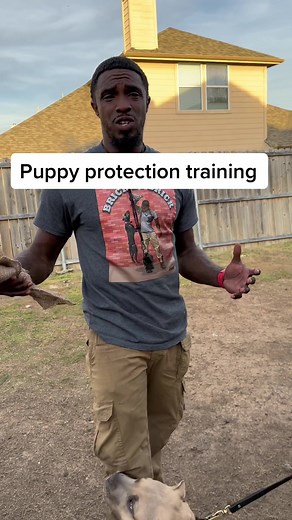 Puppy Protection Training Guide - Train Your American Bully to Protect