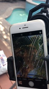 Watch Roxant ﹙Metal Alloy﹚ Universal Smartphone Adapter Mount on Amazon Live