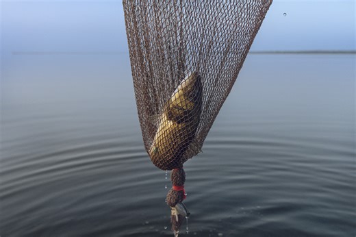 How to watch Bassmaster Classic 2026: Live stream, TV channel