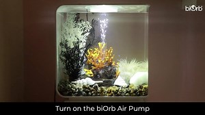 12 reactions | It's time to share how to complete your biOrb FLOW 30L...
