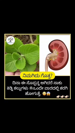 Kidney stone treatment 😁 #kannada #kannadafacts #kannadavideos #facts #factsdaily #karnataka #kidneystones #kidneystoneremoval #HomeRemedies #healthychoices #healthyhabits #healthcaretips #healthylife #healthtips #healthiswealth #healthishappiness #healthy #FacebookPage #facebookvideo | Kannada Health Care