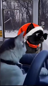 Tokyo Drift 😃 | Flow Bus