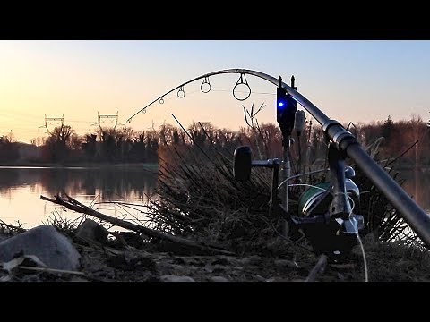 Une technique REDOUTABLE pour pêcher la CARPE en hiver !