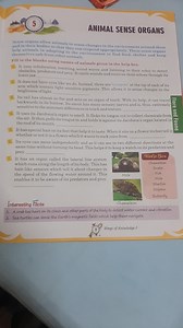 ANIMAL SENSE ORGANSSense organs allow animals to sonse change... | Filo