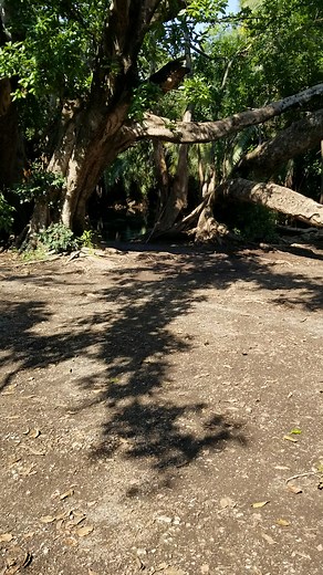 Chemka Hot-Springs on TikTok