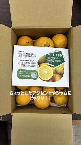 春先のムズムズ対策！『じゃばら』の魅力