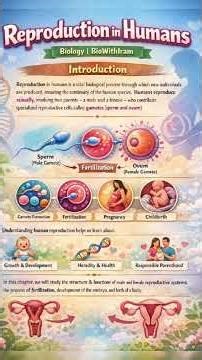 Reproduction in humans|Male and Female reproductive system|reproduction.