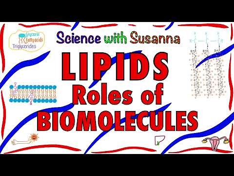 Lipids as Biomolecules
