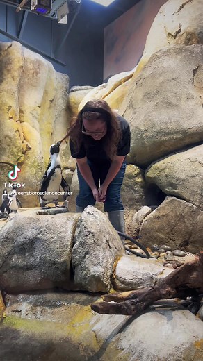7K views · 140 reactions | Happy Aquarist Appreciation Week to our incredible aquarists. We would like to take a moment to thank our wonderful aquarium team who make the GSC so special. Thank you for maintaining water quality and exhibits, making salt water (which is no easy task), educating our guests, caring for our animals, and so much more 李#GreensboroScienceCenter #AquaristAppreciationWeek #KeeperAppreciationWeek | Greensboro Science Center | Facebook