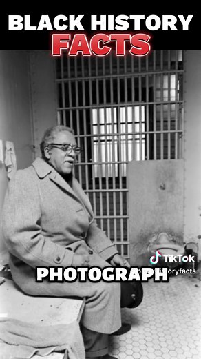 The Tragic Story Behind Billie Holiday's 'Strange Fruit' Song