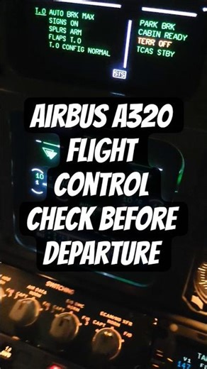 Why Flight Control Checks are CRUCIAL
