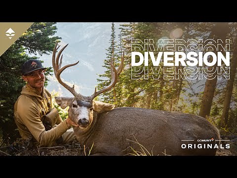 An Idaho Backcountry Mule Deer Hunt - DIVERSION