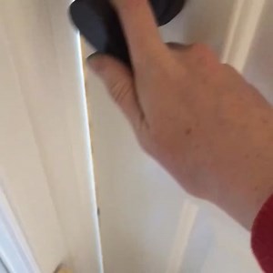 Breakfast excitement. With gate climbing. #kitten #3ecckittens #cute