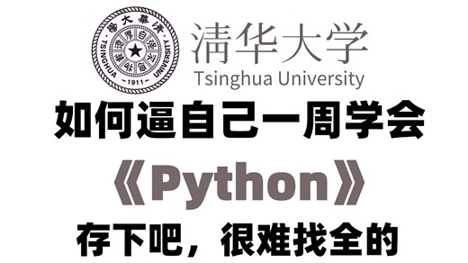 【全500集】B站最全最易懂的Python全套教程，2026最新版，适合所有Python零基础入门到实战，全程干货学完就业！包含Python爬虫与数据分析教程！