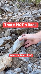 What in the world! 😲 (This sci-fi skit is for entertainment only) | Our Weird & Wonderful Discoveries