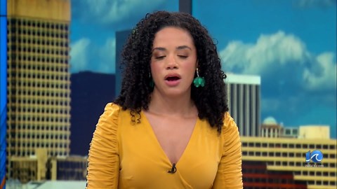 No dogs allowed on the beach