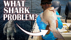 Casting Lines Among Giants: The Shark Fishing Experience