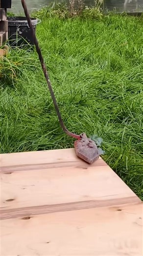 P2 During the weekly wrap-up, the new intern suddenly switched the projector to my attendance record.#storytime #novel #fyp #booktok #378708