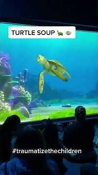 Turtle Soup At Disney 🐢 | Turtle Talk With Crush