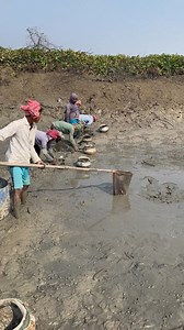 Primitive Fish Catching Technique | Fishing & Village Tradition