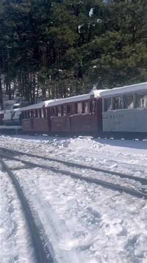 RGS 20 Rolls Into Rockwood. #dsng #train #rgs #steamtrain