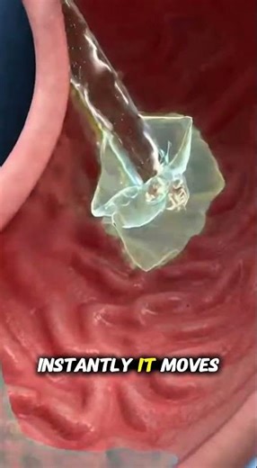Sugar Water — What Happens Inside Your Body? (Ultra Realistic Anatomy)