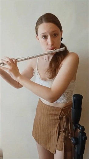 Dropkick Murphys - I'm Shipping Up to Boston Dropkick Murphys (flute cover)