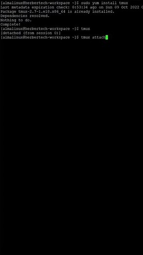 Command line tricks with tmux #shorts