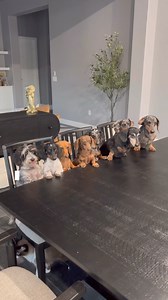 3K views · 368 reactions | putting the 'ween' in 'halloween'  @yunabugs | Five Below | Facebook