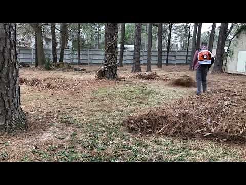 SATISFYING: Pine Needle Cleanup Using Blowers