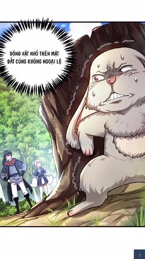 Bảo baby shop trên TikTok