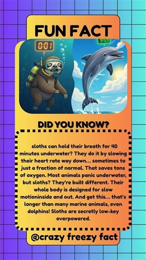 Sloths Hold Their Breath Longer Than Dolphins 😳