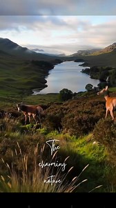 The charming nature 🩵 #nature #naturelovers #naturephotography #naturebeauty | Amazing World