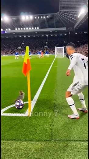 Cat playing with ball during ronaldo corner kick 😹⚽