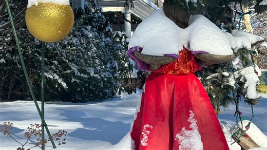 Springfield off to record snowy start to winter season, says weather service