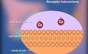 Sorry, we have encountered a problem. - Alexander Street, a ProQuest Company