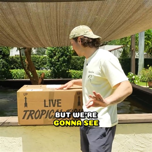 Buying Pond Monster Off The Web | The Fish Guys