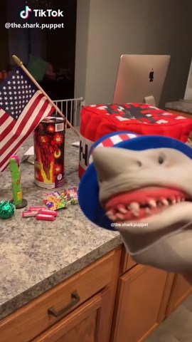 4TH OF JULY!!!!! #foryou #foryoupage #4thofjuly