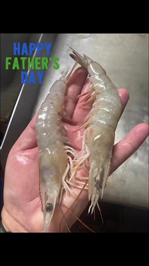 Shrimp Shack on Reels