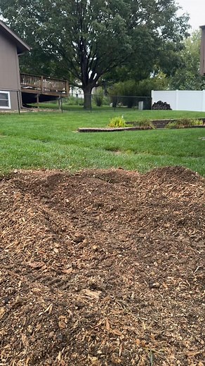 Root Razors Stump Grinding | fixing what someone else started. 👍🏼 | Instagram