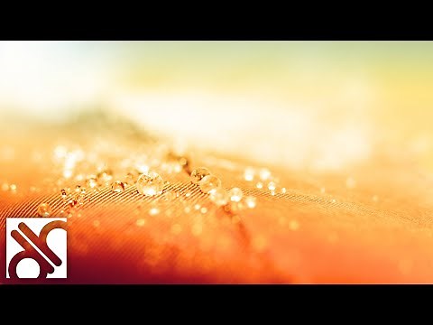 Profil Colorimétrique d'une Image - PHOTOSHOP