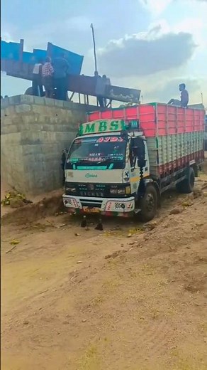 Mango Loading Process: The Most Satisfying Truck Delivery Ever