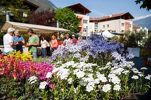 29K views · 63 reactions | GARTENFLAIR Algund vom 25.-28.04.2019....