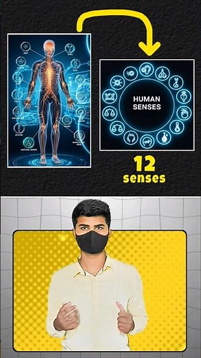 𝐇𝐮𝐦𝐚𝐧 senses 𝟏𝟐 #shorts