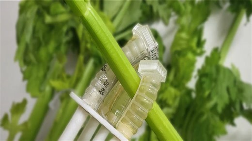 New compostable robot survives 1 million uses with zero e-waste