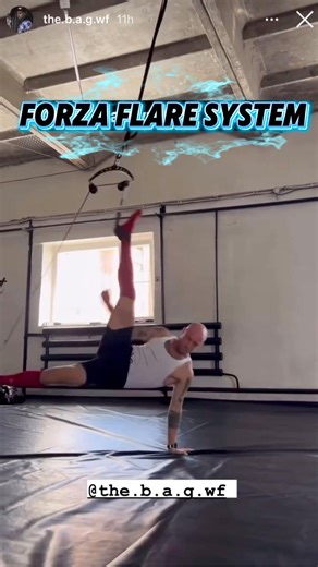 Flair training is about control and timing.The Forza Flare System supports progressive development of dynamic strength with precision and flow. | Gymnastics Forza